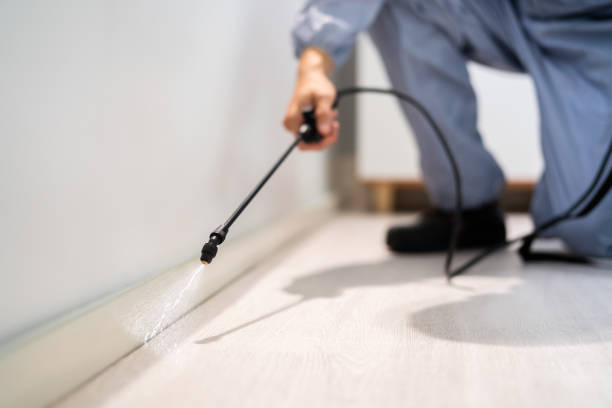 Licensed Pest Control service in Conrad, MT - Show Me Pest Control